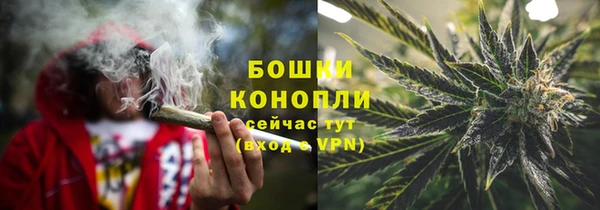 дурь Горнозаводск