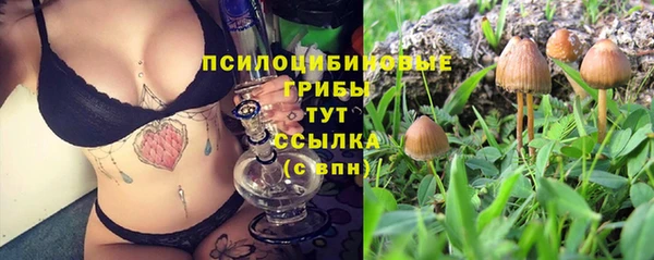 экстази Михайлов