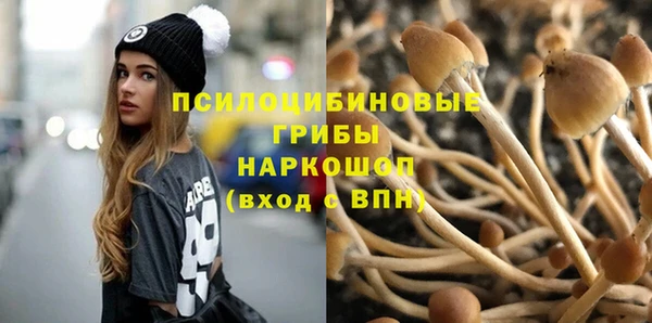 дурь Горнозаводск